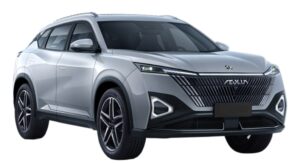 دونج فينج ميج