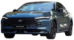 سانج يونج توريس