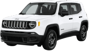 جيب رينيجيد